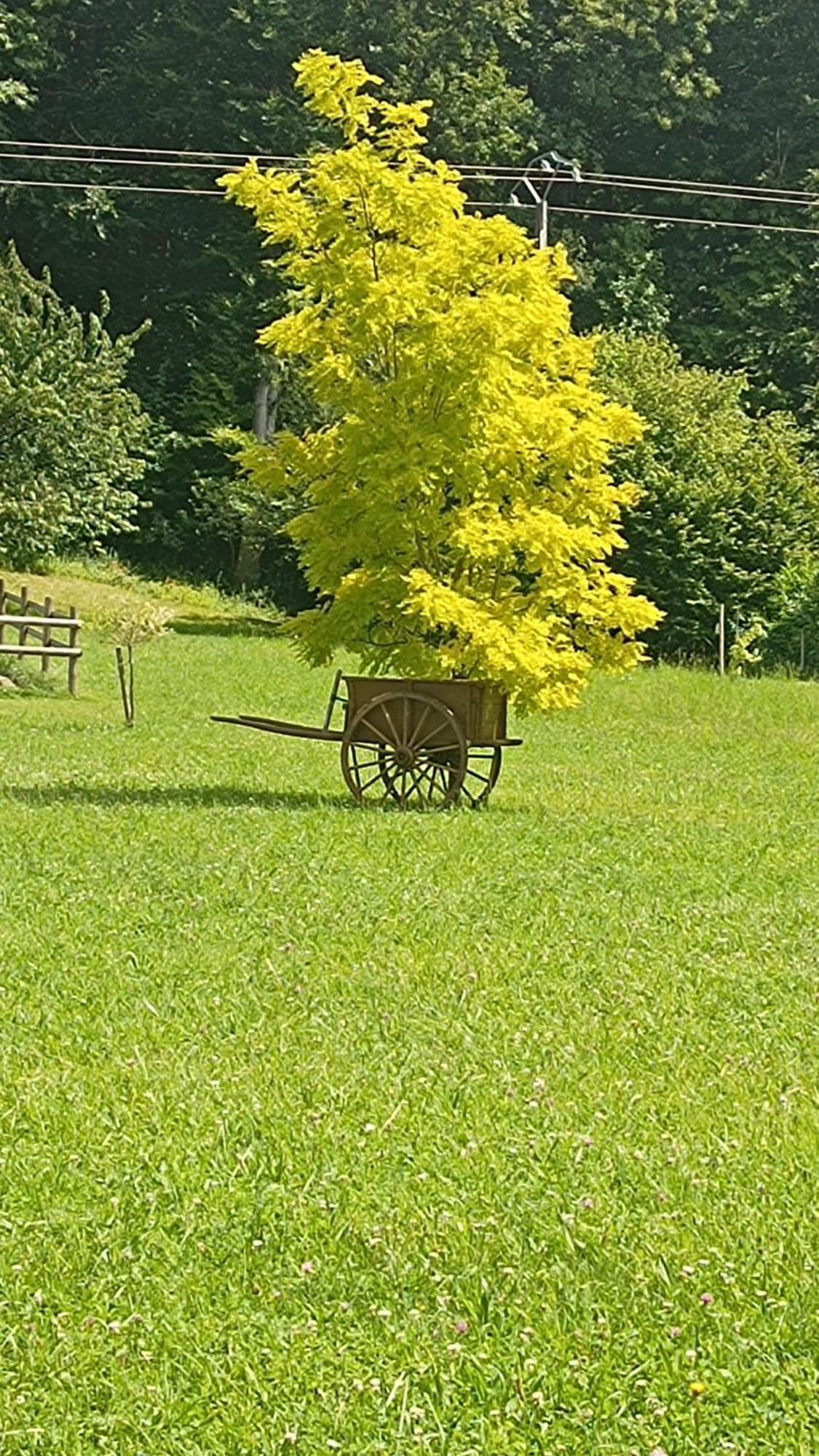 La Petite Maison Dans La Prairie Ecommoy Екстериор снимка
